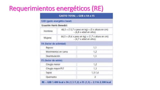 Requerimientos energéticos (RE)
 