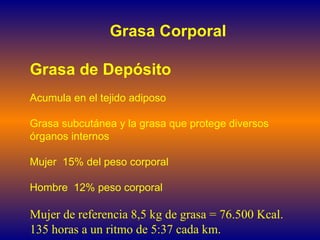 Grasa Corporal Grasa de Depósito Acumula en el tejido adiposo Grasa subcutánea y la grasa que protege diversos órganos internos Mujer  15% del peso corporal Hombre  12% peso corporal Mujer de referencia 8,5 kg de grasa = 76.500 Kcal.  135 horas a un ritmo de 5:37 cada km. 