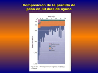Composición de la pérdida de peso en 30 días de ayuno 