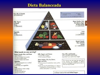 Dieta Balanceada 