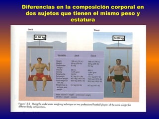 Diferencias en la composición corporal en dos sujetos que tienen el mismo peso   y   estatura 