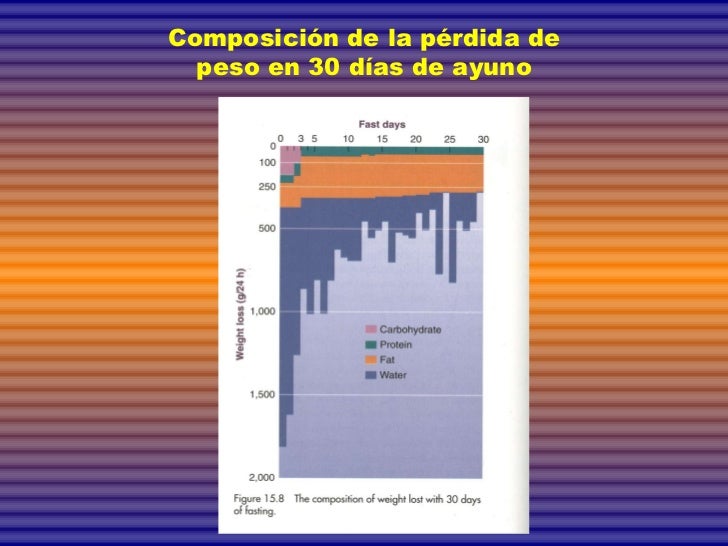 Total, persona que se puede tomar para eliminar la grasa abdominal buena manera empezar Ejercicio aerbico, que se puede tomar para eliminar la grasa abdominal mismo tiempo, los