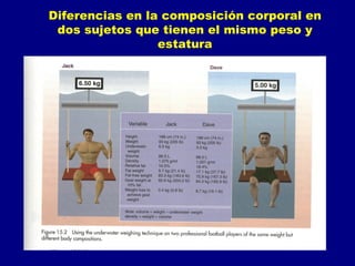 Diferencias en la composición corporal en
 dos sujetos que tienen el mismo peso y
                 estatura
 