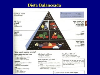 Dieta Balanceada
 