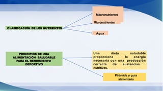 CLASIFICACIÓN DE LOS NUTRIENTES
Macronutrientes
Micronutrientes
Agua
PRINCIPIOS DE UNA
ALIMENTACIÓN SALUDABLE
PARA EL RENDIMIENTO
DEPORTIVO
Una dieta saludable
proporciona la energía
necesaria con una producción
correcta de sustancias
nutritivas.
Pirámide y guía
alimentaria
 
