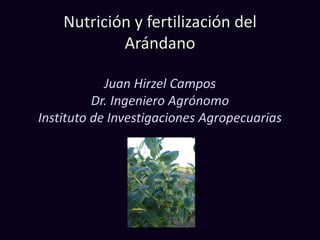 Nutrición y fertilización del
Arándano
Juan Hirzel Campos
Dr. Ingeniero Agrónomo
Instituto de Investigaciones Agropecuarias
 