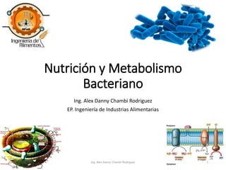 Nutrición y Metabolismo
Bacteriano
Ing. Alex Danny Chambi Rodriguez
EP. Ingeniería de Industrias Alimentarias
Ing. Alex Danny Chambi Rodriguez 1
 