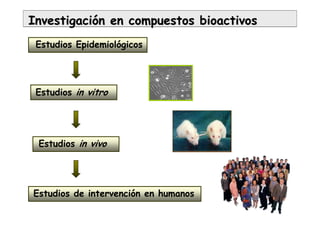 InvestigaciInvestigacióón en compuestos bioactivosn en compuestos bioactivos
Estudios Epidemiológicos
Estudios de intervención en humanos
Estudios in vitro
Estudios in vivo
 