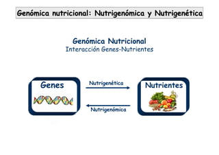 GenGenóómica nutricional: Nutrigenmica nutricional: Nutrigenóómica y Nutrigenmica y Nutrigenééticatica
Genómica Nutricional
Interacción Genes-Nutrientes
Nutrigenética
Nutrigenómica
NutrientesGenes
 