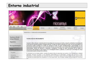Entorno industrialEntorno industrial
 
