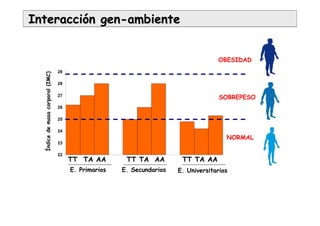 InteracciInteraccióón genn gen--ambienteambiente
22
23
24
25
26
27
28
29
TT TA AA TT TA AA TT TA AA
E. Primarios E. Secundarios E. Universitarios
Índicedemasacorporal(IMC)
NORMAL
SOBREPESO
OBESIDAD
 