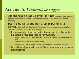 Activitat 5. L’ascensió de l’aigua
   Experiència de l’api/clavell i la tinta                 (serveix per obtenir
    evidències de l’ascenció de l’aigua i convertir-ho en un fet/evidència
    empíric)
   ¿Com s’ho fa l’aigua per circular per dins la
    planta? (servirà per investigar/proposar un mecanisme que expliqui
    l’ascenció de l’aigua per dins la planta)
        Recuperar els dibuixos de la planta per dins. Formular
         hipòtesis o recuperar les ja formulades.
             “té una mena de cor (o de bomba) que fa pujar l’aigua cap amunt per uns
              tubs”
             “alguna cosa la xucla des de les fulles”
             “puja com el cafè o l’aigua s’enfilen pel paper de cuina quan es mulla”
        Investigar algunes de les hipòtesis proposades (les més
         significatives)
 