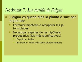 Activitat 7. La sortida de l’aigua
   L’aigua es queda dins la planta o surt per
    algun lloc
       Formular hipòtesis o recuperar les ja
        formulades.
       Investigar algunes de les hipòtesis
        proposades (les més significatives)
           Esprémer fulles
           Embolicar fulles (disseny experimental)
 