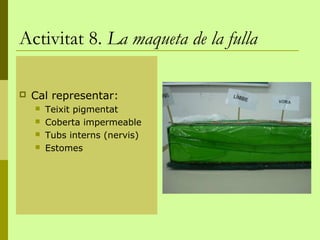 Activitat 8. La maqueta de la fulla

   Cal representar:
       Teixit pigmentat
       Coberta impermeable
       Tubs interns (nervis)
       Estomes
 