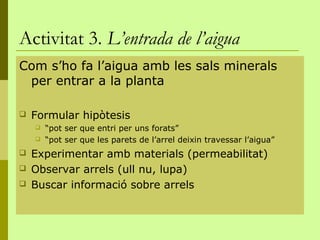 Activitat 3. L’entrada de l’aigua
Com s’ho fa l’aigua amb les sals minerals
 per entrar a la planta

   Formular hipòtesis
       “pot ser que entri per uns forats”
       “pot ser que les parets de l’arrel deixin travessar l’aigua”
   Experimentar amb materials (permeabilitat)
   Observar arrels (ull nu, lupa)
   Buscar informació sobre arrels
 