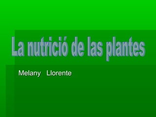 Melany Llorente
 