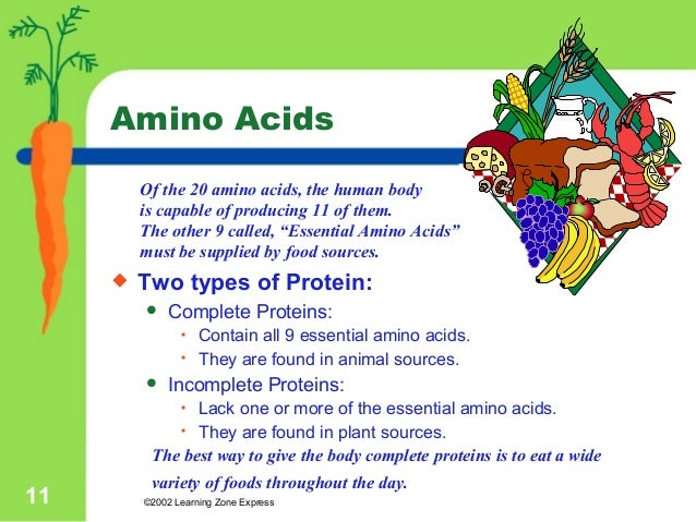 nutrients examples