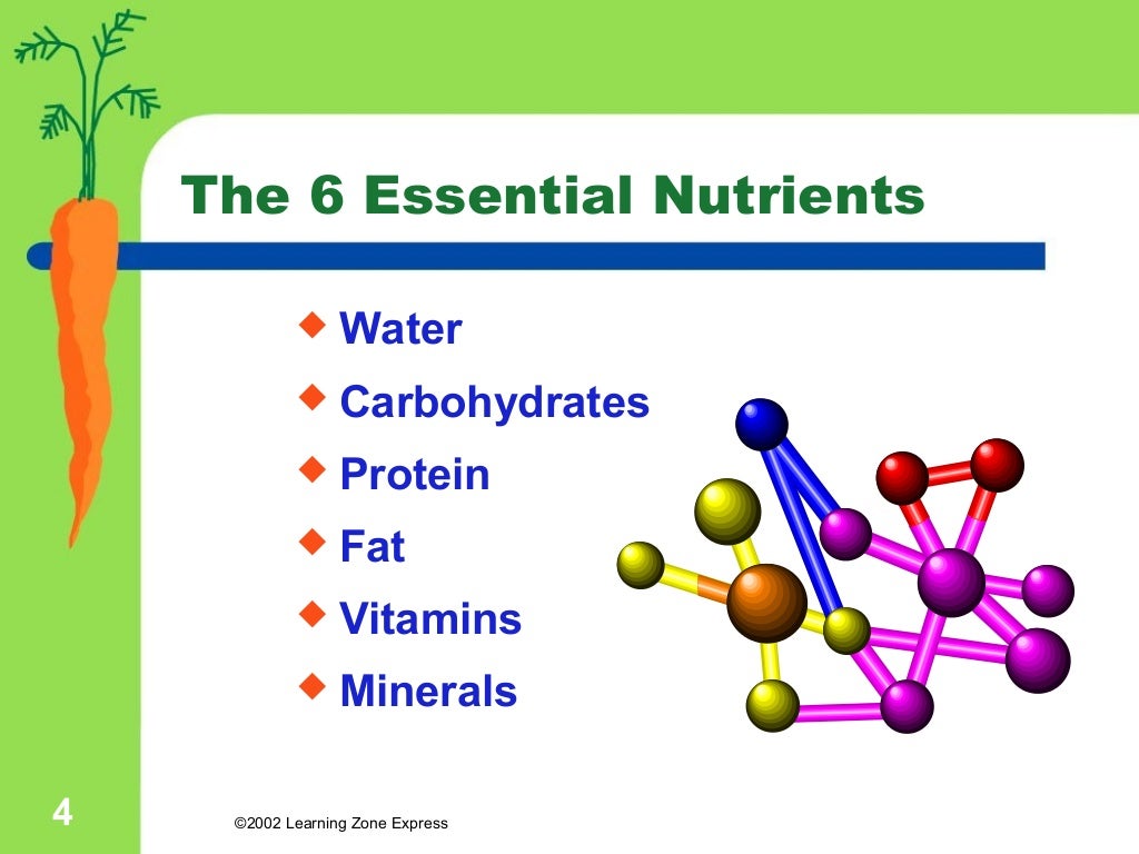 PPT on Nutrients