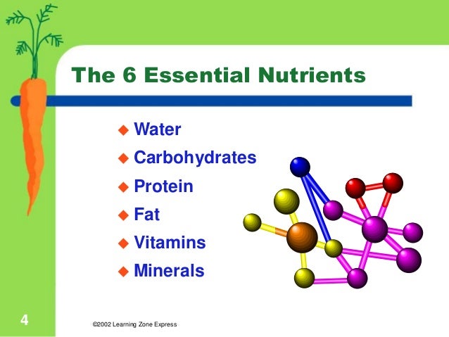 nutrient basics what are the 6 essential nutrients