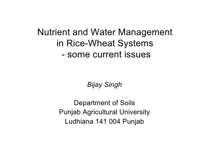 Nutrient And Water Management In Rice Wheat Cropping System