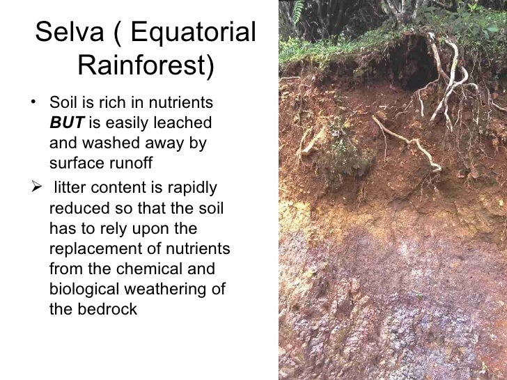 Nutrient Cycle soil layers diagram 