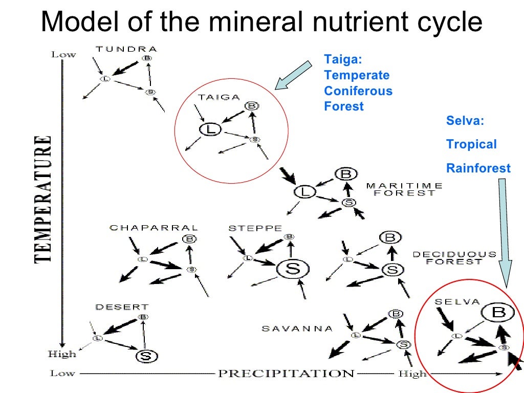 Nutrient Cycle