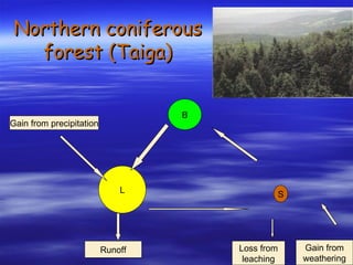 Northern coniferous forest (Taiga) B L S Gain from precipitation Gain from weathering Loss from leaching Runoff 