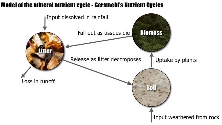 IB Geography > Ecosystems > Nutrient Cycling gersmehl diagrams ib questions 