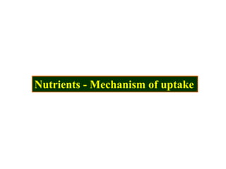 Nutrients - Mechanism of uptake
 
