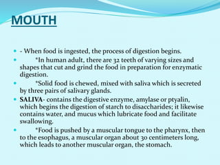 Nutrient and digestion powerpoint | PPTX