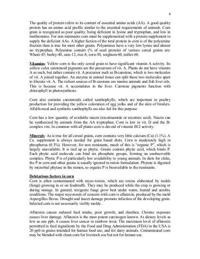 Research Paper Essays Review Essay Examples Narrative Essay Catch Soical Media Narrative Sample Essay For High School Students also Apa Format Essay Paper Film Study Essay Barcafontanacountryinncom Essay Topics For Research Paper