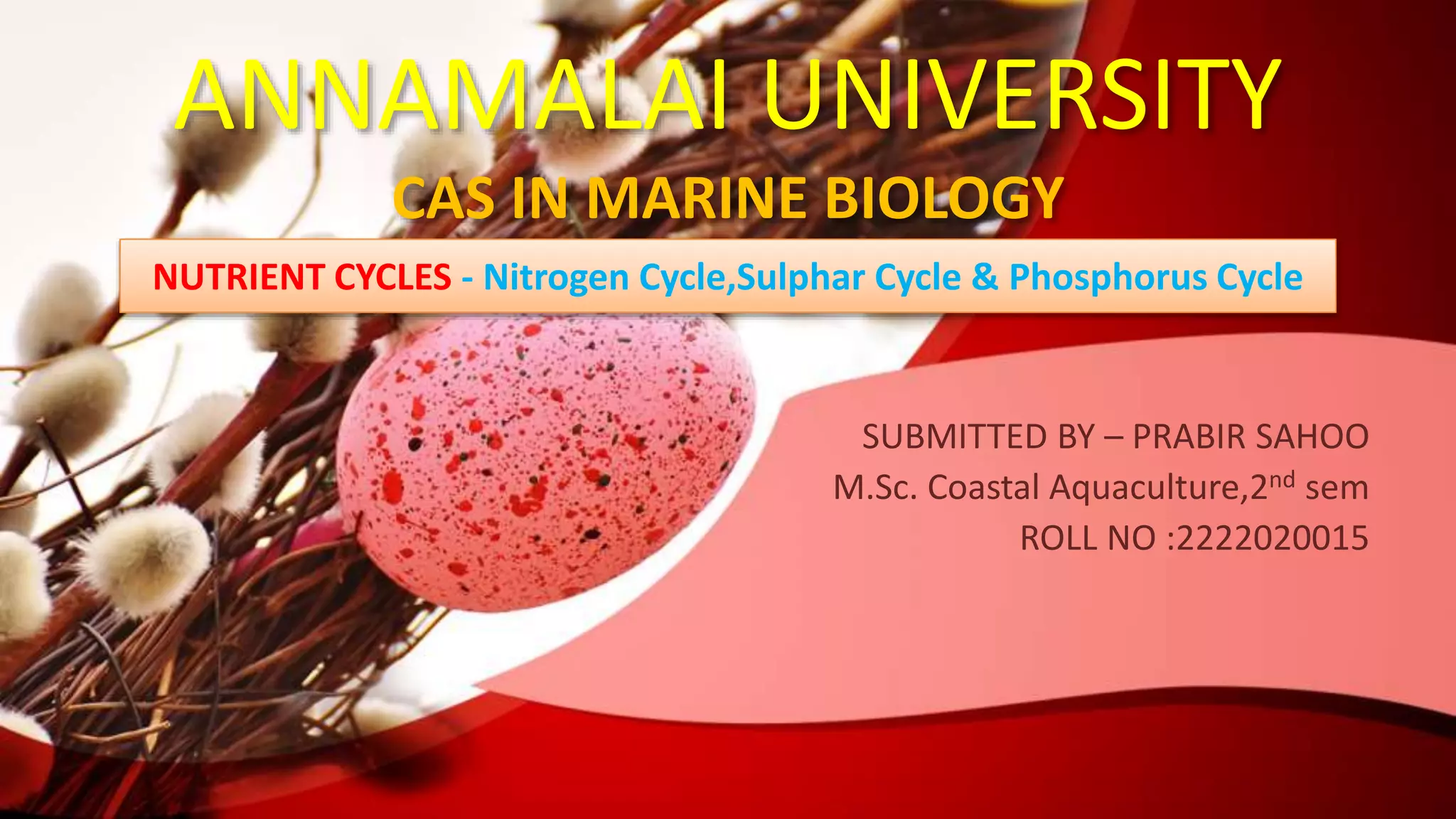 ANNAMALAI UNIVERSITY
CAS IN MARINE BIOLOGY
SUBMITTED BY – PRABIR SAHOO
M.Sc. Coastal Aquaculture,2nd sem
ROLL NO :2222020015
NUTRIENT CYCLES - Nitrogen Cycle,Sulphar Cycle & Phosphorus Cycle
 
