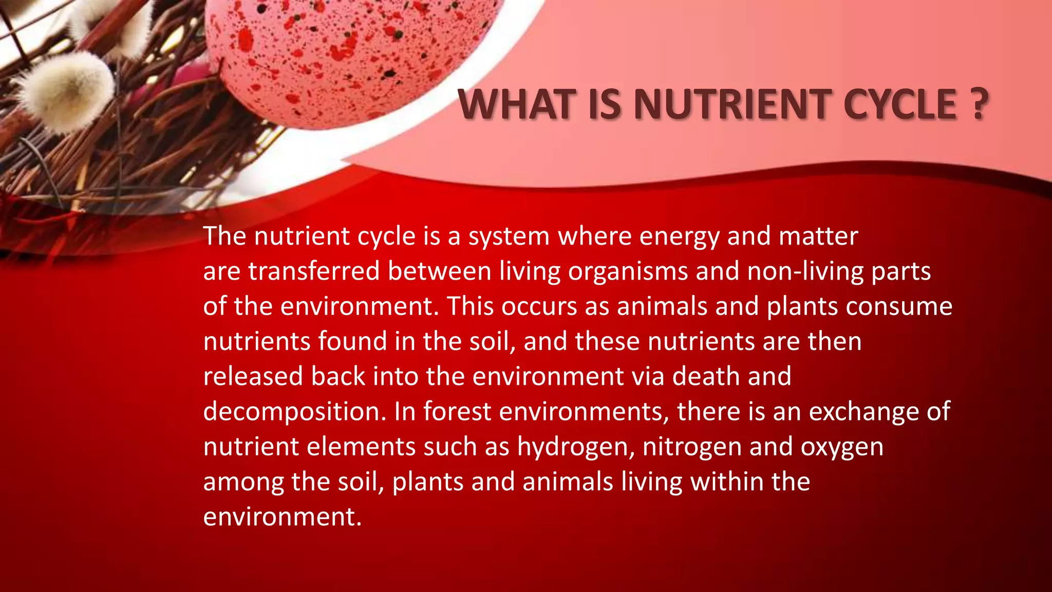 WHAT IS NUTRIENT CYCLE ?
The nutrient cycle is a system where energy and matter
are transferred between living organisms and non-living parts
of the environment. This occurs as animals and plants consume
nutrients found in the soil, and these nutrients are then
released back into the environment via death and
decomposition. In forest environments, there is an exchange of
nutrient elements such as hydrogen, nitrogen and oxygen
among the soil, plants and animals living within the
environment.
 
