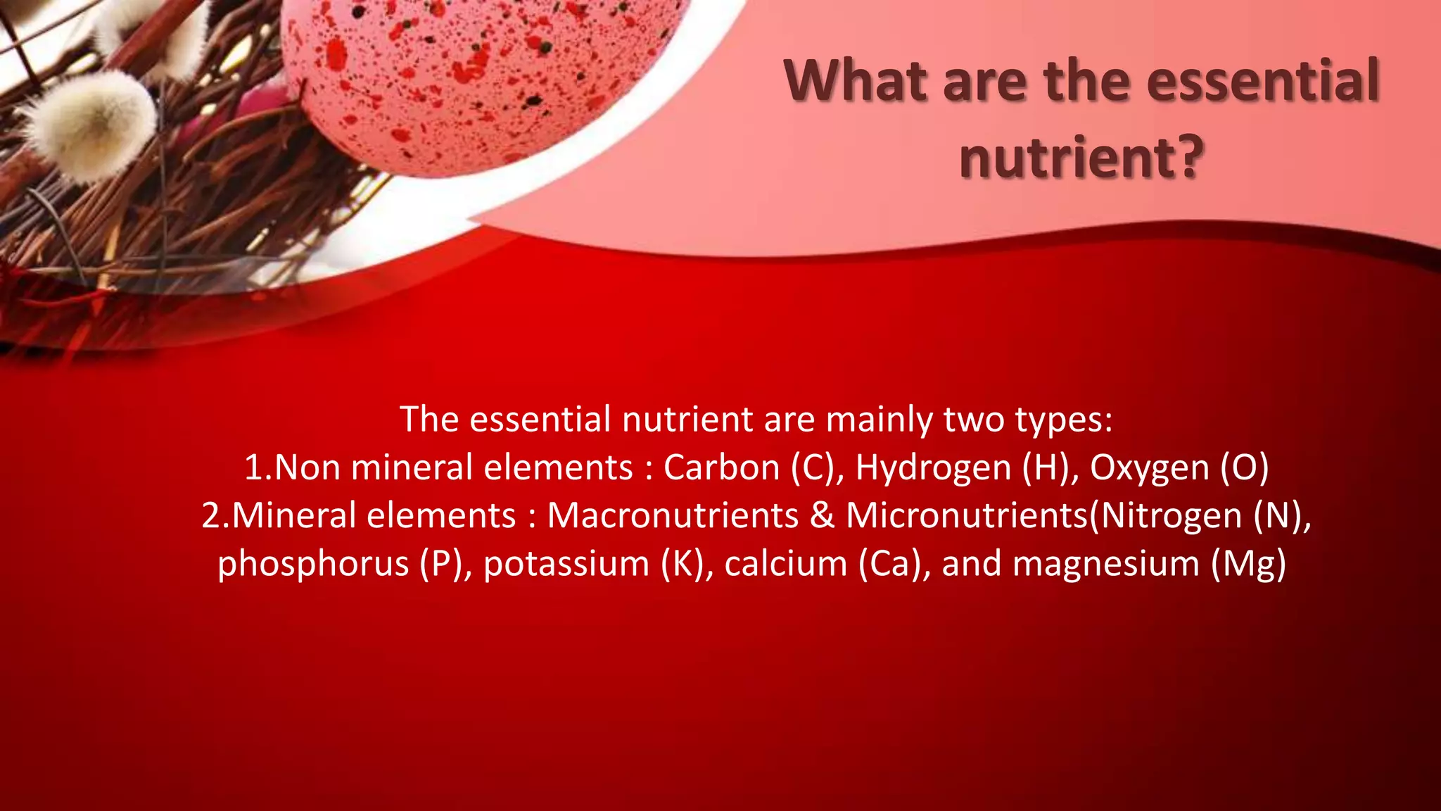 What are the essential
nutrient?
The essential nutrient are mainly two types:
1.Non mineral elements : Carbon (C), Hydrogen (H), Oxygen (O)
2.Mineral elements : Macronutrients & Micronutrients(Nitrogen (N),
phosphorus (P), potassium (K), calcium (Ca), and magnesium (Mg)
 