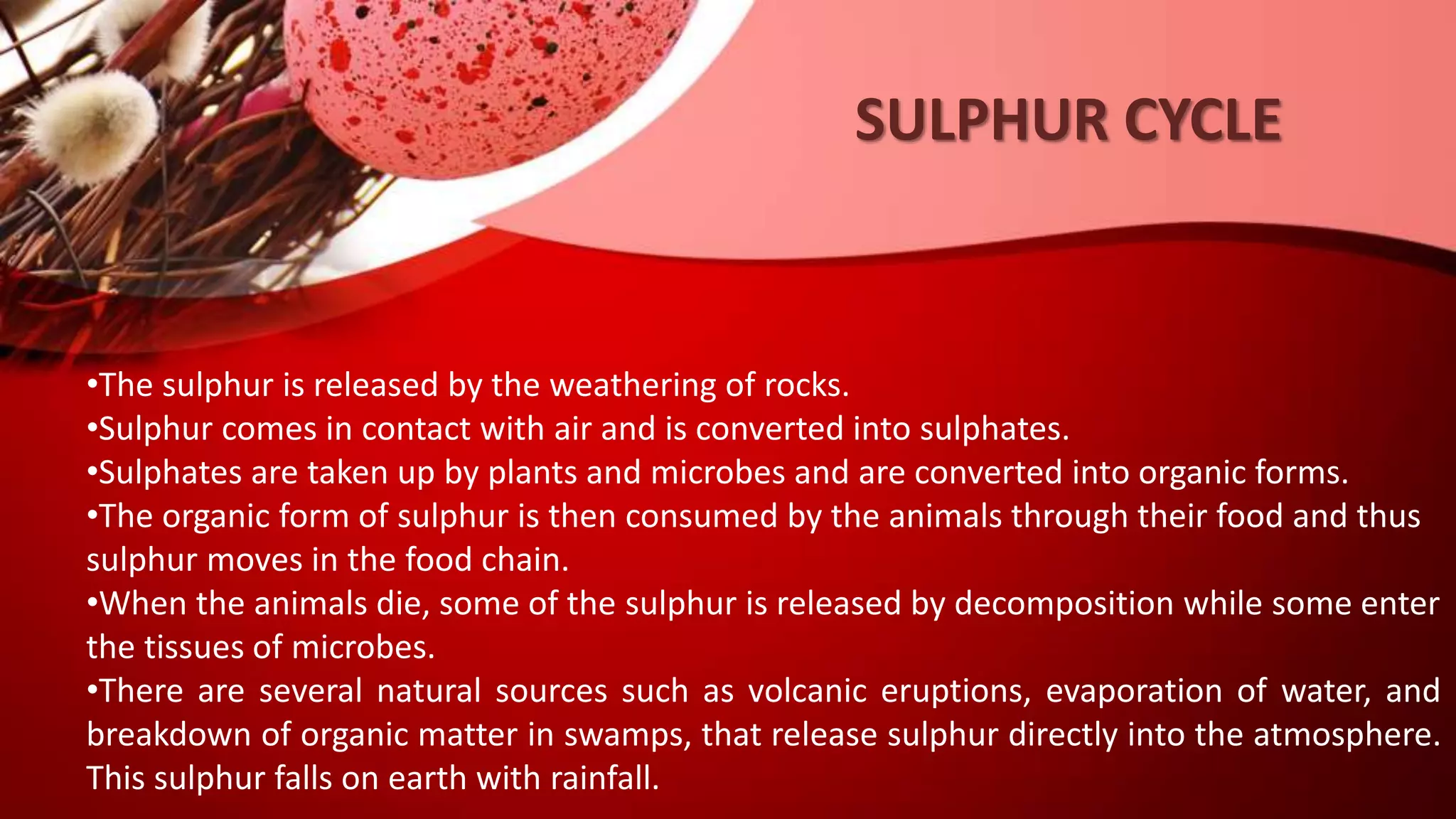 SULPHUR CYCLE
•The sulphur is released by the weathering of rocks.
•Sulphur comes in contact with air and is converted into sulphates.
•Sulphates are taken up by plants and microbes and are converted into organic forms.
•The organic form of sulphur is then consumed by the animals through their food and thus
sulphur moves in the food chain.
•When the animals die, some of the sulphur is released by decomposition while some enter
the tissues of microbes.
•There are several natural sources such as volcanic eruptions, evaporation of water, and
breakdown of organic matter in swamps, that release sulphur directly into the atmosphere.
This sulphur falls on earth with rainfall.
 