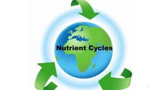 1
Nutrient Cycles
 
