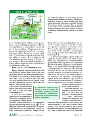 .igure 4. Carbon Cycle.
                                       T      CO2 in
                                            atmosphere




                                        T T
               Consumption
                                                                     The Carbon Cycle begins with plants taking up carbon
                                                                     dioxide from the atmosphere in the process of photosynthesis.




                                                             T
                                    Respiration


                           T
                                                    Photosynthesis   Some plants are eaten by grazing animals, which return




                                              T
                                                  T                  organic carbon to the soil as manure, and carbon dioxide to
                                                                     the atmosphere. Easily broken-down forms of carbon in
                         Crop and
   Mineralization         animal
                                                                     manure and plant cells are released as carbon dioxide when
                         residues                     Loss via   T   decomposing soil organisms respire. Forms of carbon that

                    Carbon in soil
                                                  T   erosion        are difficult to break down become stabilized in the soil as
                                                                     humus.
                    organic matter
                     T              T       Humus and
      T




                                             aggregate
                                      T
                     T




    Decomposition                           formulation
                    T




                                        T
     in microbes




tures. Broadleaf plants and cool-season grasses        they break down complex carbohydrates and pro-
have a photosynthetic pathway that is efficient        teins into simpler chemical forms. For example,
in the production of carbohydrates but is sensi-       soil organisms break down proteins into carbon
tive to dry conditions. Warm-season grasses            dioxide, water, ammonium, phosphate, and sul-
have a pathway that is more effective in produc-       fate. Plants require nutrients to be in this sim-
ing carbohydrates during hot summer condi-             pler, decomposed form before they can use them
tions. A combination of plants representing these      for their growth.
two pathways ensures effective forage growth                To effectively decompose organic matter, soil
throughout the growing season. A diversity of          organisms require access to air, water, and nu-
root structures also promotes photosynthesis by        trients. Soil compaction and saturation limit the
giving plants access to water and nutrients            growth of beneficial organisms and promote the
throughout the soil profile.                           growth of anaerobic organisms, which are inef-
                                                       ficient in the decomposition of organic matter.
    ORGANIC MATTER DECOMPOSITION                       These organisms also transform some nutrients
    Pasture soils gain organic matter from growth      into forms that are less available or unavailable
and die-back of pasture plants, from forage wast-      to plants. Nutrient availability and nutrient bal-
age during grazing, and from manure deposition.        ances in the soil solution also affect the growth
In addition to the recycling of aboveground plant      and diversity of soil organisms. To decompose
parts, every year 20 to 50% of plant root mass         organic matter that contains a high amount of
dies and is returned to the soil system. Some          carbon and insufficient amounts of other nutri-
pasture management practices also involve the          ents, soil organisms must mix soil- solution nu-
regular addition of manure                                                   trients with this material to
from grazing animals housed                                                  achieve a balanced diet.
                                     A healthy and diverse popu-
during the winter or from poul-                                                  Balances between the
                                     lation of soil organisms is
try, hog, or other associated                                                amount of carbon and nitro-
                                     necessary for organic matter
livestock facilities.                                                        gen (C:N ratio) and the
                                     decomposition, nutrient min-
    A healthy and diverse                                                    amount of carbon and sulfur
                                     eralization, and the formation
population of soil organisms is                                              (C:S ratio) determine
                                     of soil aggregates.
necessary for organic matter                                                 whether soil organisms will
decomposition, nutrient miner-                                               release or immobilize nutri-
alization, and the formation of soil aggregates.       ents when they decompose organic matter. Im-
Species representing almost every type of soil         mobilization refers to soil microorganisms taking
organism have roles in the breakdown of manure,        nutrients from the soil solution to use in the de-
plant residues, and dead organisms. As they use        composition process of nutrient-poor materials.
these substances for food and energy sources,          Since these nutrients are within the bodies of soil

               //NUTRIENT CYCLING IN PASTURES                                                                        PAGE 11
 