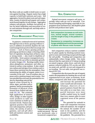 But these soils are unable to hold water or nutri-
ents against leaching. Organic matter has a high                      SOIL COMPACTION
capacity to hold both nutrients and water. Soil
aggregates, formed by plant roots and soil organ-
isms, consist of mineral and organic soil compo-            Animal movement compacts soil pores, es-
nents bound together in soft clumps. Aggregates         pecially when soils are wet or saturated. Con-
enhance soil porosity, facilitate root growth, al-      tinual trampling and foraging, especially in con-
low for better infiltration and movement of wa-         gregation areas and laneways, also depletes plant
ter and nutrients through soil, and help soils re-      growth and produces bare spots.
sist compaction.
                                                           Soil compaction increases as soil mois-
                                                           ture, animal weight, animal numbers,
   PRIOR MANAGEMENT PRACTICES                              and the length of stay in the paddock in-
                                                           crease.
    In pastures, continual removal of nutrients               Resistance to compaction increases as
through harvests or heavy grazing without re-                 forage establishment and the percentage
turn or addition of nutrients depletes the soil.              of plants with fibrous roots increase.
Land management practices that encourage soil
erosion — such as heavy grazing pressure,
                                                                Soil compaction reduces nutrient availabil-
plowing up and down a slope, or leaving a field
                                                           ity for plant uptake by blocking nutrient trans-
bare of vegetation during times of heavy rains
                                                           port to roots and restricting root growth through
or strong winds — also result in depletion of
                                                           the soil profile. Treading and compaction can
soil fertility. Some pasture management prac-
                                                           substantially reduce forage yields. One study
tices involve the use of fire to stimulate growth
                                                           showed that the equivalent of 12 sheep treading
of native forages (32). Burning readily miner-
                                                           on mixed ryegrass, white clover, and red clover
alizes phosphorus, potassium, and other nu-
                                                           pasture reduced yields by 25% on dry soil, 30%
trients in surface crop residues. It also volatil-
                                                           on moist soil, and 40% on wet soil compared to
izes carbon and nitrogen from residues and re-
                                                           no treading. On wet soils, root growth was re-
leases these nutrients into the atmosphere, thus
                                                           duced 23% (35).
minimizing the ability of organic matter to ac-
                                                                Compaction also decreases the rate of organic
cumulate in the soil. Loss of residues also ex-
poses soil to raindrop impact and erosion. Hot             matter decomposition by limiting the access soil
uncontrolled fires increase the potential for ero-         organisms have to air, water, or nutrients. In ad-
sion by degrading natural bio-                             dition, compacted soils limit water infiltration
logical crusts formed by li-                                               and increase the potential for
chens, algae, and other soil or-                                           water runoff and soil erosion. In
ganisms, and by promoting the                                              Arkansas, observers of over-
formation of physical crusts                                               grazed pastures found that ma-
formed from melted soil min-                                               nure piles on or near bare, com-
erals (33, 34). The continual                                              pacted laneways were more
high application of manure,                                                readily washed away by runoff
whey, sludge, or other organic                                             than were manure piles in more
waste products to soils can                                                vegetated areas of the pasture
cause nutrients to build up to                                             (24).
excessive levels. Pasture man-                                                 The potential for animals to
agement practices that influ-                                              cause soil compaction increases
ence soil compaction, soil satu-                                           with soil moisture, the weight of
ration, the activity of soil or-         Compacted soils do not allow for  the animal, the number of ani-
ganisms, and soil pH affect              normal root growth. This root     mals in the paddock, and the
both soil nutrient content and           grew horizontally when it         amount of time animals stay in
availability.                            encountered a compacted layer.    the paddock. The potential for a

PAGE 24                                                                //NUTRIENT CYCLING IN PASTURES
 