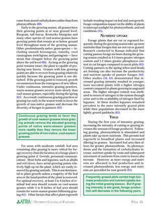 come from stored carbohydrates rather than from       include treading impact on leaf and root growth,
photosynthesis (60).                                  forage composition impact on the ability of plants
    Early in the growing season, all grasses have     to intercept sunlight for photosynthesis, and soil
their growing points at or near ground level.         conditions (35).
Ryegrass, tall fescue, Kentucky bluegrass and                      NUTRIENT      UPTAKE
many other species of cool-season grasses have
growing points that remain at or below ground             Forage plants that are cut or regrazed fre-
level throughout most of the growing season.          quently during the growing season take up more
Other, predominantly native, grass species — in-      nutrients than forages that are not cut or grazed.
cluding smooth broomgrass, timothy, reed              Research conducted in Kansas indicated that
canarygrass, switchgrass, and gamagrass — have        cutting pasture forage six times during the grow-
stems that elongate below the growing point           ing season resulted in 4.3 times greater nitrogen
above the soil level (60). As long as the growing     content and 5.2 times greater phosphorus con-
point remains intact, the plant is capable of pro-    tent in cut forages compared to uncut plots (63).
                                                      Cutting pastures in the spring when seed heads
ducing new leaves. Grasses with low growing
                                                      are forming can also increase the productivity
points are able to recover from grazing relatively
                                                      and nutrient uptake of pasture forages (64).
quickly because the growing point is not dis-
                                                      Other studies (56, 65) demonstrated that in-
turbed. If the growing point is removed, growth
                                                      creased grazing intensity resulted in younger,
recommences from the emergence of new tillers.
                                                      more succulent plants with a higher nitrogen
Under continuous, intensive grazing practices,
                                                      content compared to plants growing in ungrazed
warm-season grasses recover more slowly than
                                                      areas. The higher nitrogen content was attrib-
cool-season grasses, especially during the spring
                                                      uted to return of nitrogen to the system through
(61). As a result, continuous grazing practices or
                                                      urine and to the availability of nitrogen fixed by
grazing too early in the season tends to favor the
                                                      legumes. In these studies legumes remained
growth of non-native grasses and decrease the         prevalent in the more intensely grazed plots
diversity of forages in pastures (62).                while their populations decreased in the more
                                                      lightly grazed paddocks (65).
 Continuous grazing tends to favor the
                                                                           YIELD
 growth of cool- season grasses since graz-
 ing animals remove the elevated growing                   During the first year of intensive grazing,
 points of native warm-season grasses                 increasing the intensity of cutting or grazing in-
 more readily than they remove the lower              creases the amount of forage produced. Follow-
 growing points of non-native, cool-season            ing grazing, photosynthesis is stimulated and
 grasses.                                             plants take up more nutrients. This permits leaf
                                                      regrowth in broadleaf plants and increased
                                                      tillering in grasses. Increased leaf area then al-
     For areas with moderate rainfall, leaf area      lows for greater photosynthesis. As photosyn-
remaining after grazing is more critical for for-     thesis and the formation of carbohydrates in-
age recovery than the location of a forage plant’s    crease, nutrient uptake by roots and subsequent
growing point (J. Gerrish, personnal communi-         movement of nutrients from roots to leaves also
cation). Most forbs and legumes, such as alfalfa      increase. However, as more energy and nutri-
and red clover, have aerial growing points rela-      ents are allocated to leaf production and in-
tively high up on the plant, which are easily re-     creased photosynthesis, less energy and nutri-
moved by grazing animals. This is not detrimen-       ents are provided for root growth (63).
tal to plant growth unless a majority of the leaf
area or the basal portion of the plant is removed.      Frequently grazed plots exhibit high bio-
For optimal recovery, at least 3 to 4 inches of re-     mass production and nutrient uptake dur-
sidual leaf area should remain on cool-season           ing the initial grazing season. But if graz-
grasses while 4 to 8 inches of leaf area should         ing intensity is too great, forage produc-
remain for warm-season grasses following graz-          tion will decrease in the following years.
ing (61). Other factors that affect plant regrowth

           //NUTRIENT CYCLING IN PASTURES                                                    PAGE 35
 
