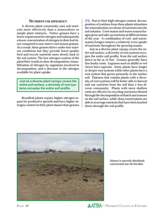 NUTRIENT USE EFFICIENCY                      (73). Due to their high nitrogen content, decom-
                                                       position of residues from these plants stimulates
    A diverse plant community uses soil nutri-
                                                       the mineralization or release of nutrients into the
ents more effectively than a monoculture or
                                                       soil solution. Cool-season and warm-season for-
simple plant mixtures. Native grasses have a
                                                       ages grow and take up nutrients at different times
lower requirement for nitrogen and subsequently
                                                       of the year. A combination of cool- and warm-
a lower concentration of nitrogen in their leaf tis-
                                                       season forages ensures a relatively even uptake
sue compared to non-native cool-season grasses.
                                                       of nutrients throughout the growing season.
As a result, these grasses thrive under low nutri-
                                                            Just as a diverse plant canopy covers the en-
ent conditions but they provide lower-quality
                                                       tire soil surface, a diversity of root systems occu-
feed and recycle nutrients more slowly back to
                                                       pies the entire soil profile, from the soil surface
the soil system. The low nitrogen content of the
                                                       down as far as 15 feet. Grasses generally have
plant litter results in slow decomposition, immo-
                                                       fine bushy roots. Legumes such as alfalfa or red
bilization of nitrogen by organisms involved in
                                                       clover have taproots. Some plants have longer
decomposition, and a decrease in the nitrogen
                                                       or deeper root systems while other plants have a
available for plant uptake.
                                                       root system that grows primarily in the surface
                                                       soil. Pastures that contain plants with a diver-
  Just as a diverse plant canopy covers the            sity of root systems will be better able to harvest
  entire soil surface, a diversity of root sys-        and use nutrients from the soil than a less di-
  tems occupies the entire soil profile.               verse community. Plants with more shallow
                                                       roots are effective in recycling nutrients released
                                                       through the decomposition of thatch and manure
    Broadleaf plants require higher nitrogen in-       on the soil surface, while deep-rooted plants are
puts for productive growth and have higher ni-         able to scavenge nutrients that have been leached
trogen content in their plant tissues than grasses     down through the soil profile.




                                                                           Manure is unevenly distributed,
                                                                           concentrated near the fenceline




PAGE 38                                                              //NUTRIENT CYCLING IN PASTURES
 