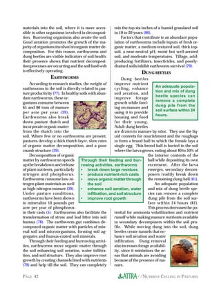 materials into the soil, where it is more acces-       mix the top six inches of a humid grassland soil
sible to other organisms involved in decomposi-        in 10 to 20 years (80).
tion. Burrowing organisms also aerate the soil.            Factors that contribute to an abundant popu-
Good aeration promotes the growth of the ma-           lation of earthworms include inputs of fresh or-
jority of organisms involved in organic matter de-     ganic matter, a medium-textured soil, thick top-
composition. For this reason, earthworms and           soil, a near-neutral pH, moist but well-aerated
dung beetles are visible indicators of soil health:    soil, and moderate temperatures. Tillage, acid-
their presence shows that nutrient decomposi-          producing fertilizers, insecticides, and poorly-
tion processes are occurring and the soil food web     drained soils inhibit earthworm survival (79).
is effectively operating.                                              DUNG BEETLES
                EARTHWORMS                                   Dung beetles
    According to research studies, the weight of        improve nutrient
                                                                                 An adequate popula-
earthworms in the soil is directly related to pas-      cycling, enhance
                                                                                 tion and mix of dung
ture productivity (77). In healthy soils with abun-     soil aeration, and
                                                                                 beetle species can
dant earthworms, these or-                              improve forage
                                                                                 remove a complete
ganisms consume between                                 growth while feed-
                                                                                 dung pile from the
65 and 80 tons of manure                                ing on manure and
                                                                                 soil surface within 24
per acre per year (39).                                 using it to provide
                                                                                 hours.
Earthworms also break                                   housing and food
down pasture thatch and                                 for their young.
incorporate organic matter                              Adult dung beetles
from the thatch into the                                are drawn to manure by odor. They use the liq-
soil. Where few or no earthworms are present,           uid contents for nourishment and the roughage
pastures develop a thick thatch layer, slow rates       to form a brood ball in which the female lays a
of organic matter decomposition, and a poor             single egg. This brood ball is buried in the soil
crumb structure (39).                                   where the larva grows, eating about 40 to 50% of
    Decomposition of organic                                                the interior contents of the
matter by earthworms speeds         Through their feeding and bur-          ball while depositing its own
up the breakdown and release        rowing activities, earthworms           excrement. After the larva
of plant nutrients, particularly    • break down large residues             emerges, secondary decom-
nitrogen and phosphorus.            • produce nutrient-rich casts           posers readily break down
Earthworms consume low-ni-          • move organic matter through           the remaining dung ball (81).
trogen plant materials as well          the soil                                An adequate population
as high-nitrogen manure (39).       • enhance soil aeration, water          and mix of dung beetle spe-
Under pasture conditions,               infiltration, and soil structure    cies can remove a complete
earthworms have been shown          • improve root growth                   dung pile from the soil sur-
to mineralize 10 pounds per                                                 face within 24 hours (82).
acre per year of phosphorus                                                 This process decreases the po-
in their casts (5). Earthworms also facilitate the      tential for ammonia volatilization and nutrient
transformation of straw and leaf litter into soil       runoff while making manure nutrients available
humus (78). The earthworm gut combines de-              to secondary decomposers within the soil pro-
composed organic matter with particles of min-          file. While moving dung into the soil, dung
eral soil and microorganisms, forming soil ag-          beetles create tunnels that en-
gregates and humus-coated soil minerals.                hance soil aeration and water
    Through their feeding and burrowing activi-         infiltration. Dung removal
ties, earthworms move organic matter through            also increases forage availabil-
the soil enhancing soil aeration, water infiltra-       ity, since it minimizes the ar-
tion, and soil structure. They also improve root        eas that animals are avoiding
growth by creating channels lined with nutrients        because of the presence of ma-
(79) and help till the soil. They can completely        nure.

PAGE 42                                                              //NUTRIENT CYCLING IN PASTURES
 
