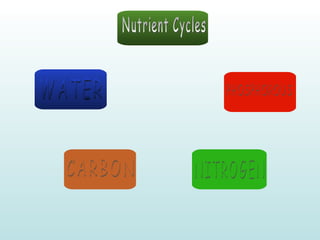 Nutrient Cycles WATER CARBON NITROGEN PHOSPHOROUS 