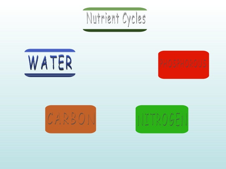 Nutrient Cycling