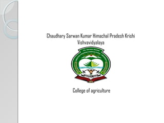 Chaudhary Sarwan Kumar Himachal Pradesh Krishi
Vishvavidyalaya
College of agriculture
 
