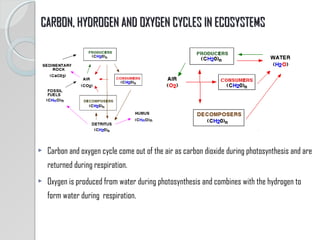 Nutrient cycling