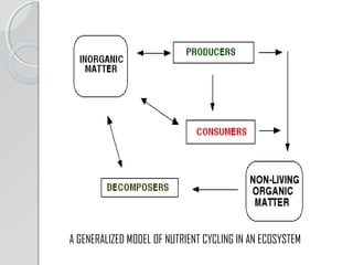 Nutrient cycling