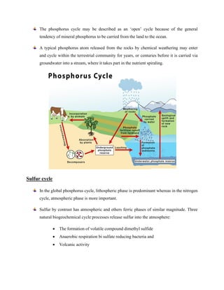 The phosphorus cycle may be described as an ‘open’ cycle because of the general
tendency of mineral phosphorus to be carried from the land to the ocean.
A typical phosphorus atom released from the rocks by chemical weathering may enter
and cycle within the terrestrial community for years, or centuries before it is carried via
groundwater into a stream, where it takes part in the nutrient spiraling.
Sulfur cycle
In the global phosphorus cycle, lithospheric phase is predominant whereas in the nitrogen
cycle, atmospheric phase is more important.
Sulfur by contrast has atmospheric and ethers ferric phases of similar magnitude. Three
natural biogeochemical cycle processes release sulfur into the atmosphere:
• The formation of volatile compound dimethyl sulfide
• Anaerobic respiration bi sulfate reducing bacteria and
• Volcanic activity
 
