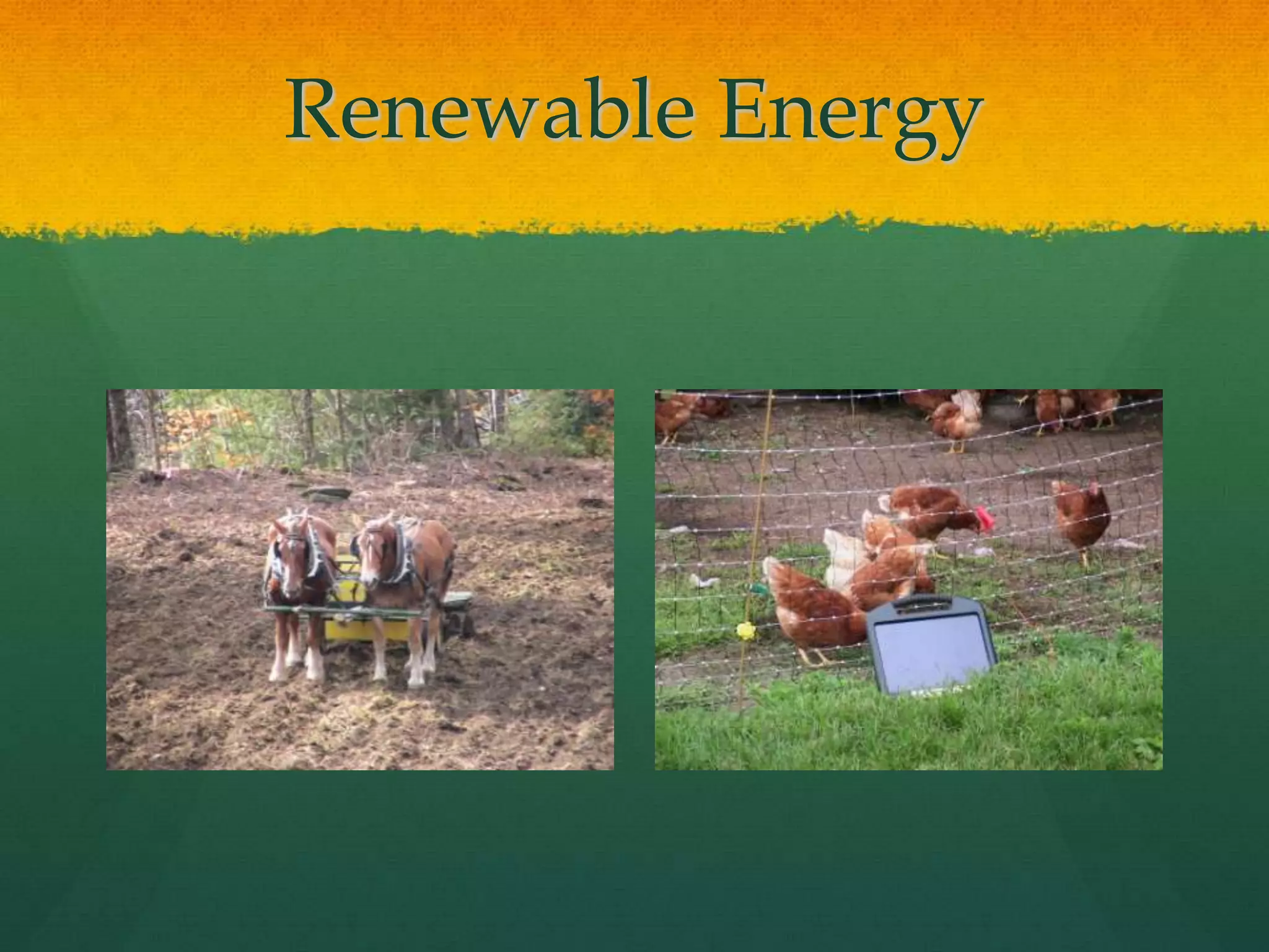 Renewable Energy
 