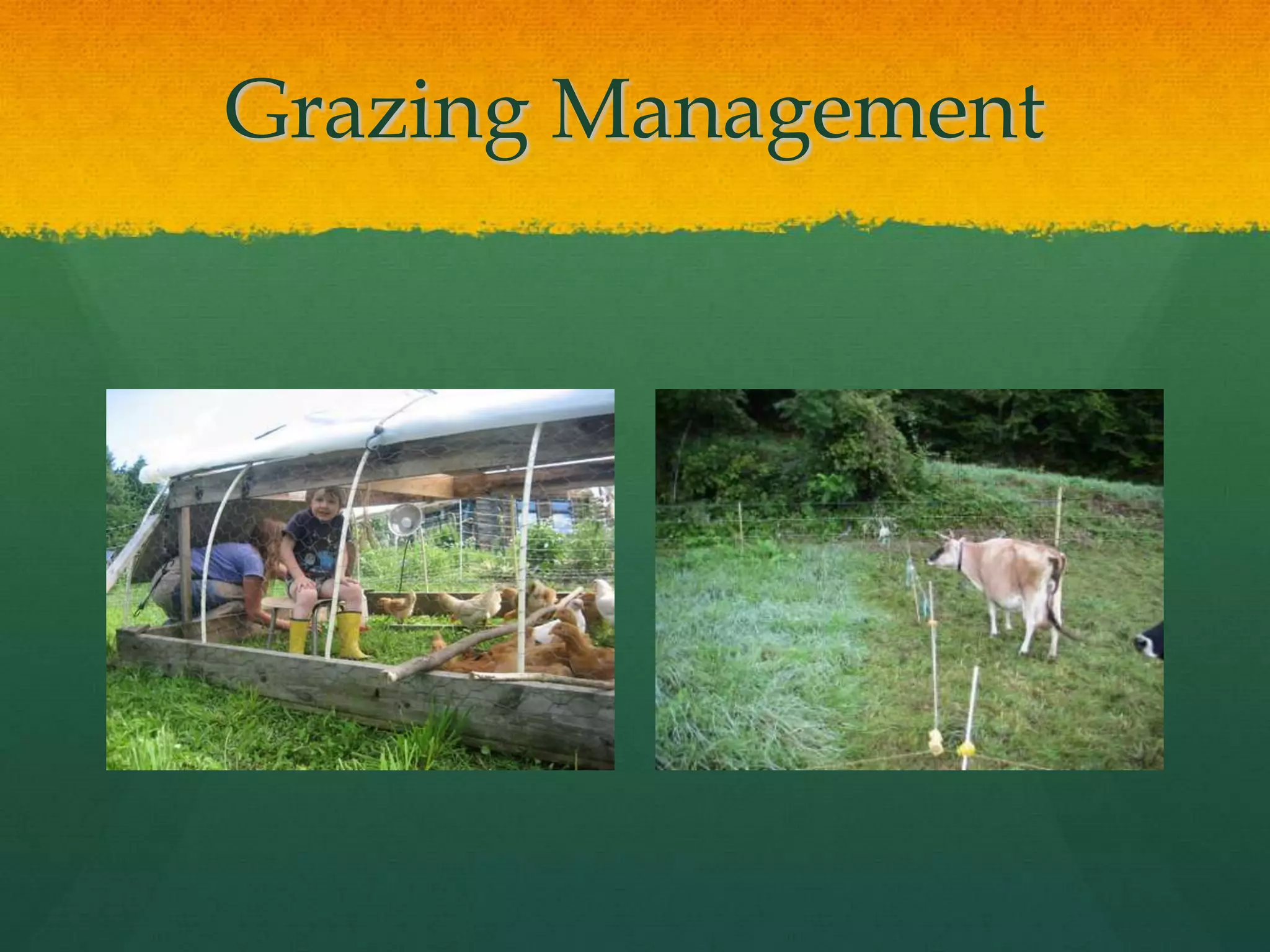 Grazing Management
 