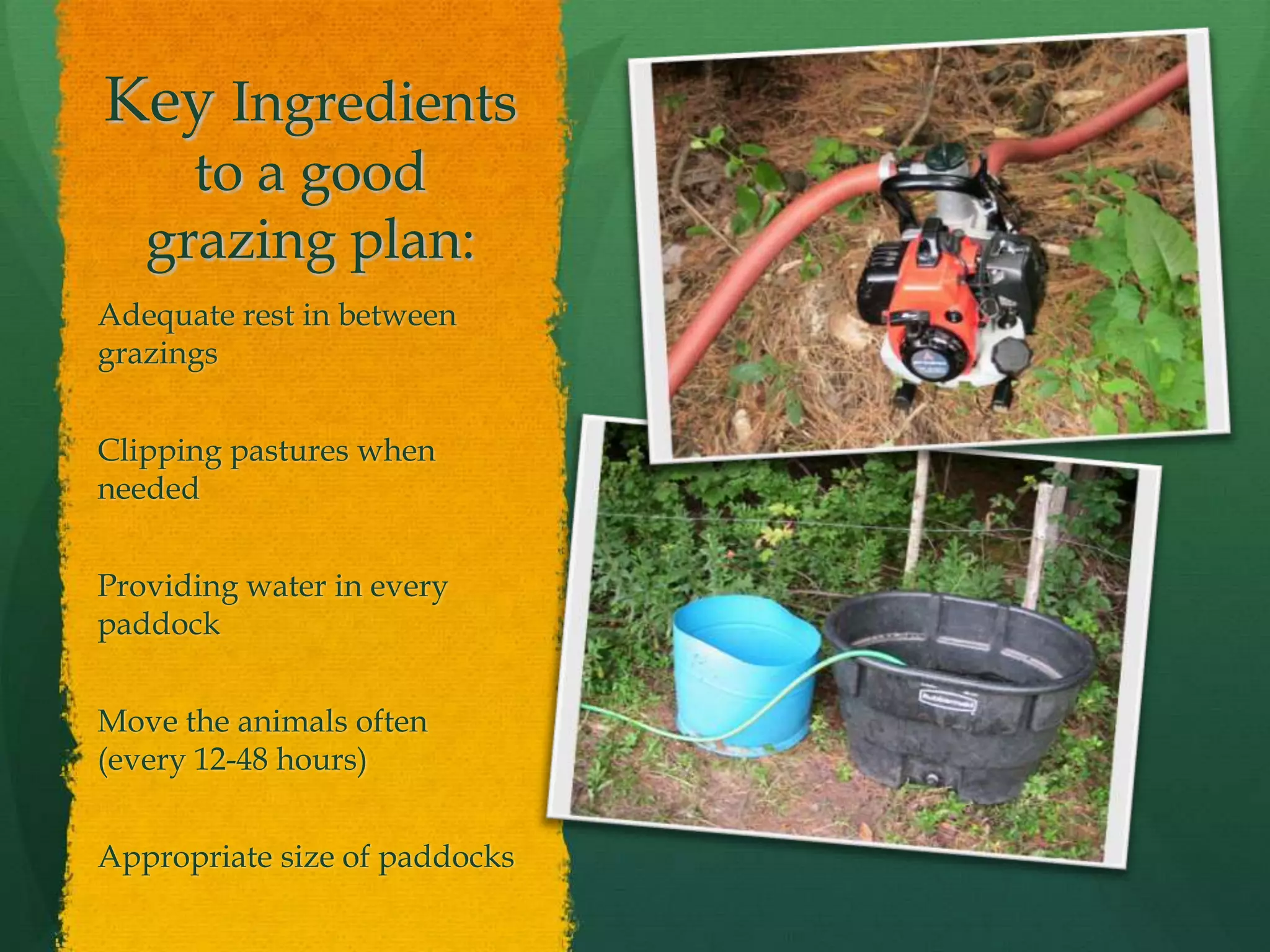 Key Ingredients
     to a good
   grazing plan:
Adequate rest in between
grazings


Clipping pastures when
needed


Providing water in every
paddock


Move the animals often
(every 12-48 hours)


Appropriate size of paddocks
 
